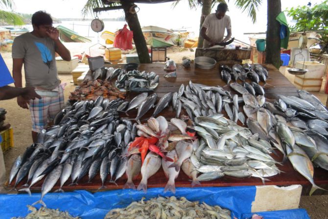 fish-market-galle