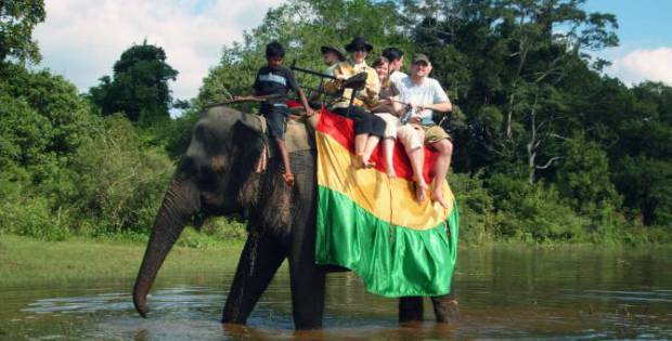 Elephant Ride Habarana Sri Lanka