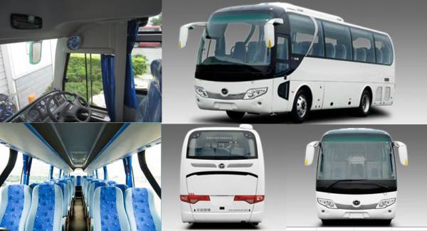 luxury bus services