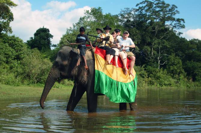 Elephant Ride Habarana Sri Lanka