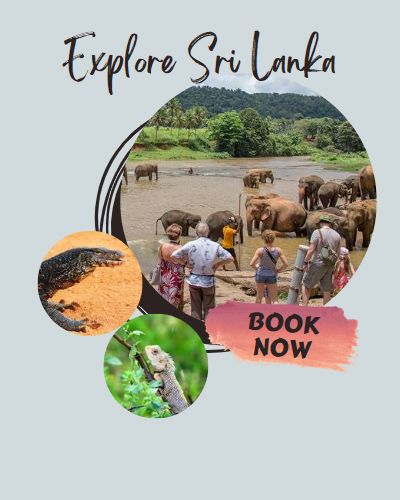 explore sri lanka travel