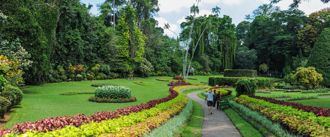 kandy-royal-botanical-garden