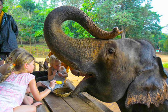 sri lanka tour and holiday packages